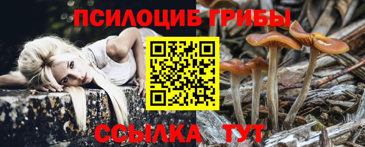 цены   Вход с VPN  Якутск  Галлюциногенные грибы Magic Shrooms 