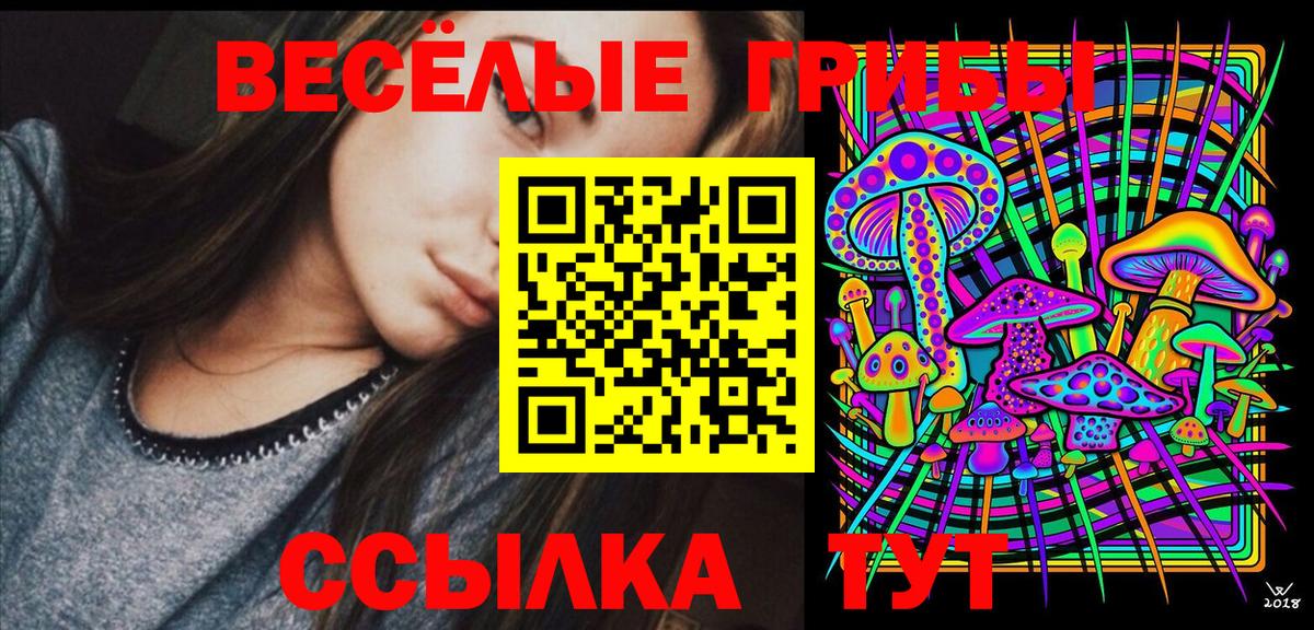 Псилоцибиновые грибы мицелий Якутск